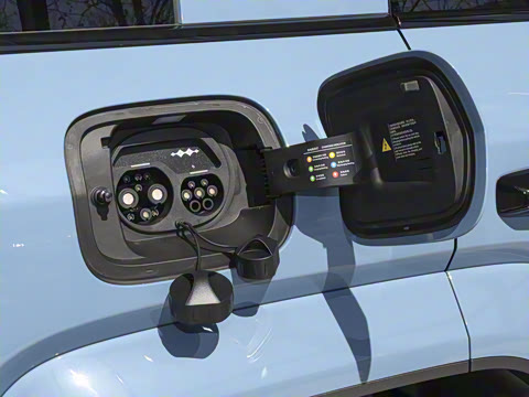 2025�� �����Ǽ�Max��