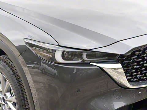 2025�� 2.0L �Զ���������Pro