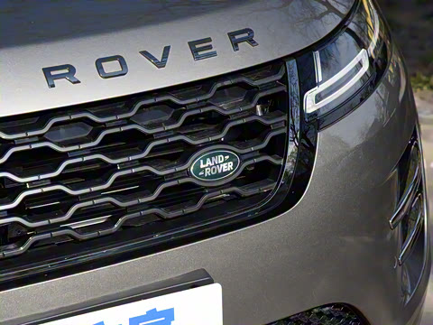 2021�� ����L P300e ������