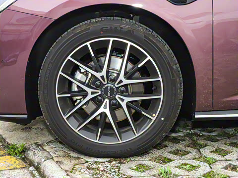 2025�� �Ǽݰ� DM-i 1.5T 125km �콢��