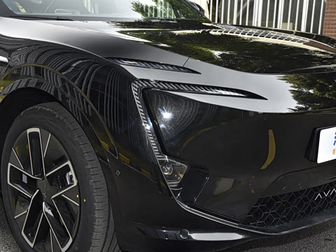 2025�� Max ���̰�