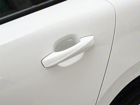 2025�� 450km ������