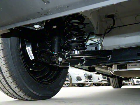 2025�� 305km ������