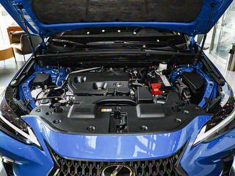 2025�� 260 ǰ�� �ر��