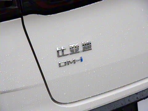 2025�� DM-i 80KM�����