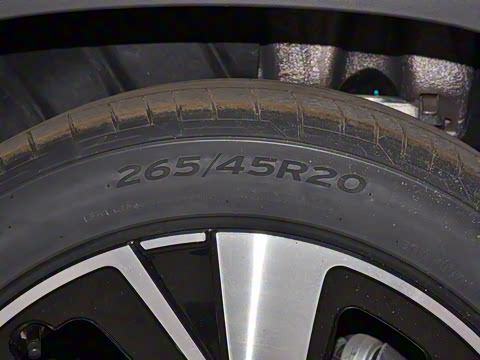 2022�� ������������