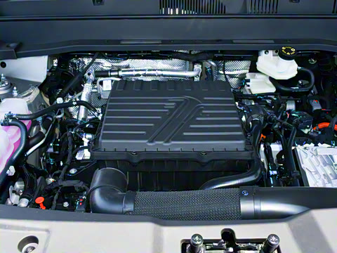 2025�� 220km ����������