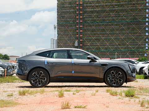 2025�� Max �����