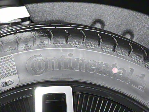 2024�� Max�����