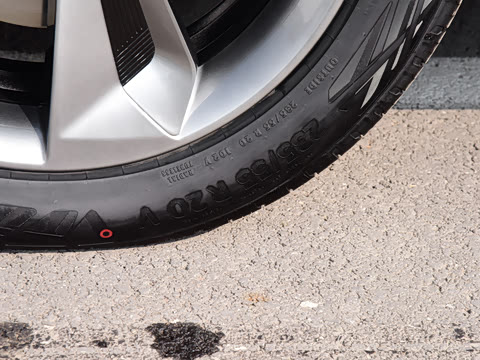 2023�� ������������