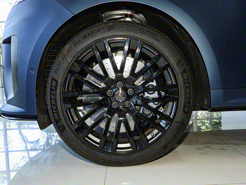 2025�� 4.4 V8 SV Edition Two