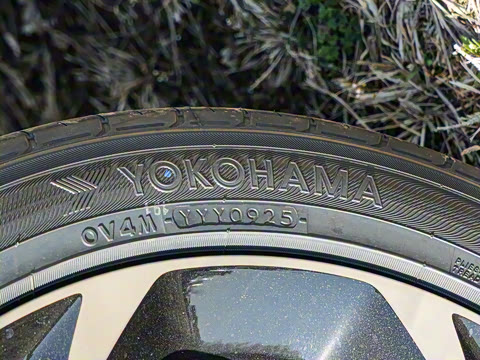 2025�� 240TURBO CVT ��ȤPro