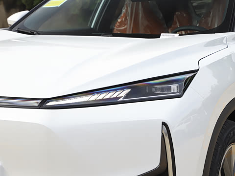 2025�� 205��������������