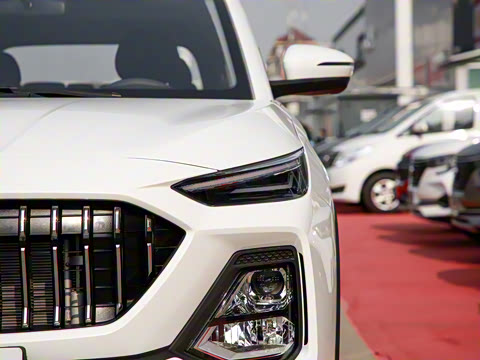 2021�� 300T �ֶ�ȫ�������� 6��