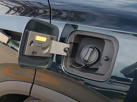 2025�� 205��������������