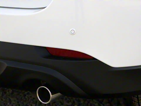 2022�� 2.0L �Զ�����������