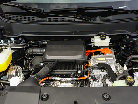 2026�� 165km ������������ 7��