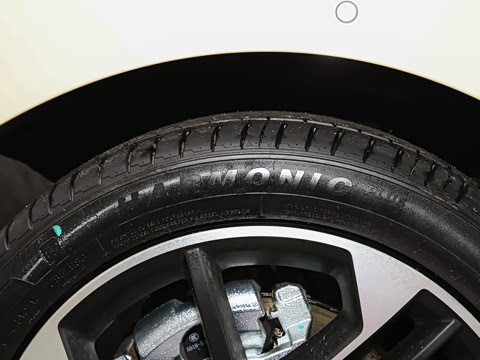 2025�� 520�����״��