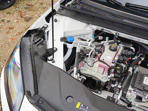 2025�� 650 ������