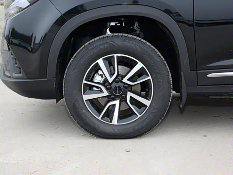 2022�� ʢ���� 1.5T �Զ����ΰ�����