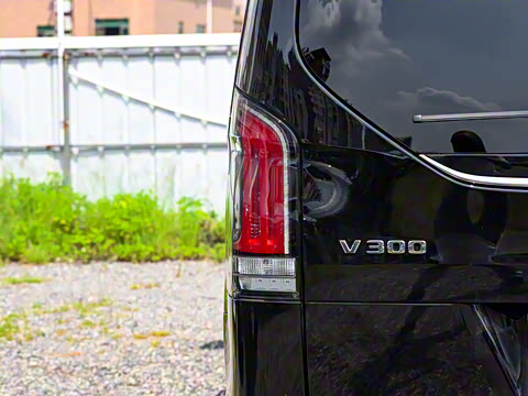 2025�� V 300 �캽��