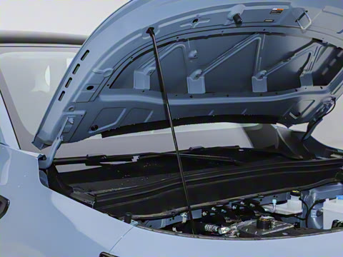 2025�� 600������