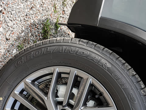 2025�� ���� 2.0L �������Ȱ�