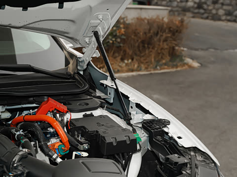 2025�� 1.5T EcoBoost E �춯 ������