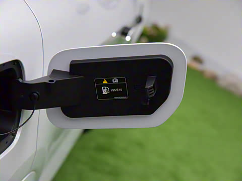 2025�� FREE+ ����Ǭ����