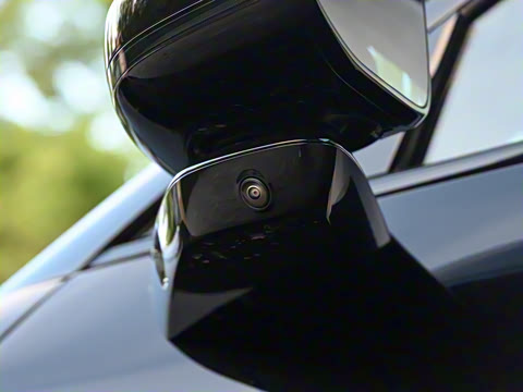 2025�� 502 ������ Max