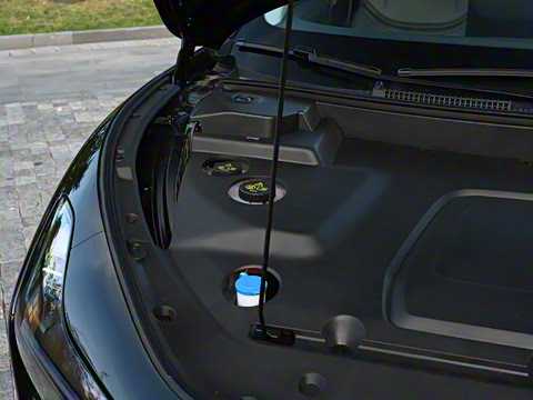 2025�� 502 ������ Max