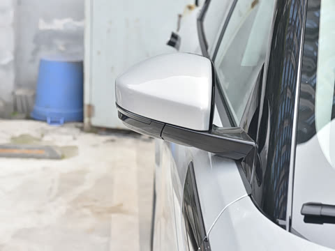 2021�� ����L P300e ������