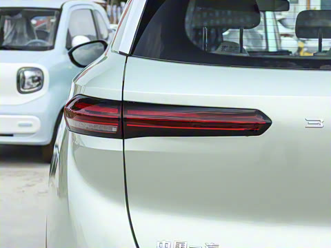 2025�� 565km ������