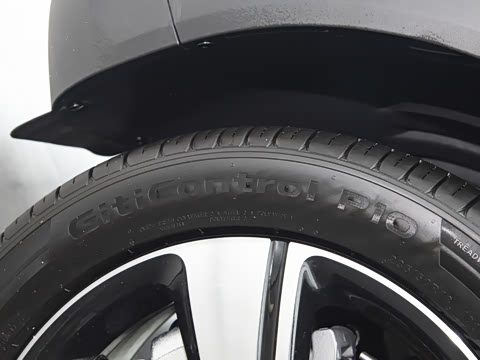 2026�� �鶯������