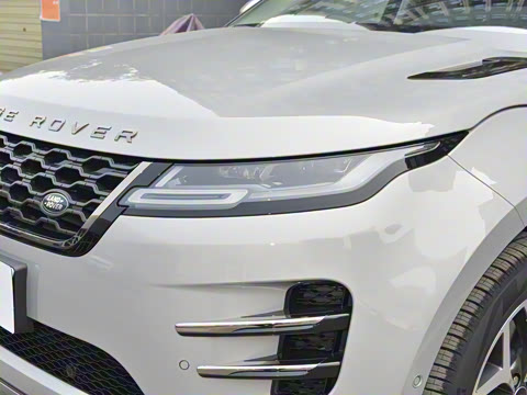 2021�� ����L P300e ������