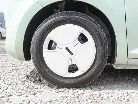 2025�� 205km �����