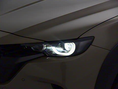 2023�� 2.5L ���а�