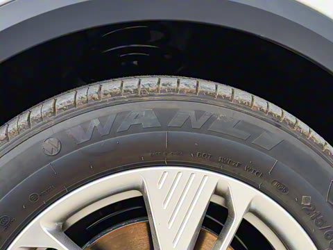 2025�� 565km ������