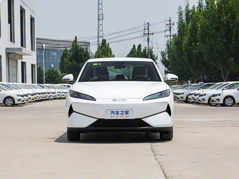 2025�� 520�ǻݰ�