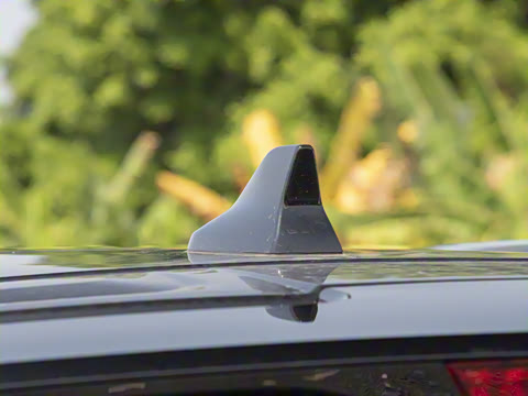 2025�� DM-i �Ǽݰ� 115KM�콢��