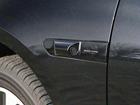 2025�� 600 �������� Max