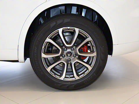 2021�� 3.0T ������