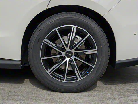 2025�� DM-i 80KM�����