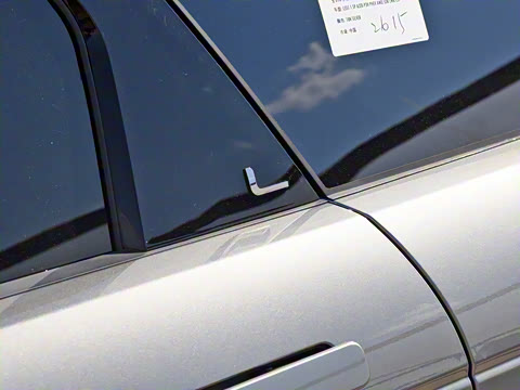 2021�� ����L P300e ������