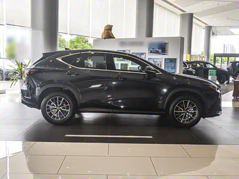 2025�� 260 ǰ�� �ر��