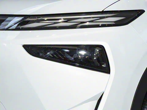 2024�� 520 ������