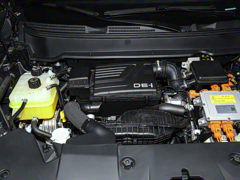 2024�� ��ҫ�� 100KM������ 5��