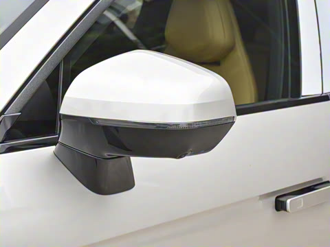 2021�� 2.0T PHEV Halo ����