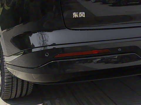 2025�� 636Max���Ȱ� 5��