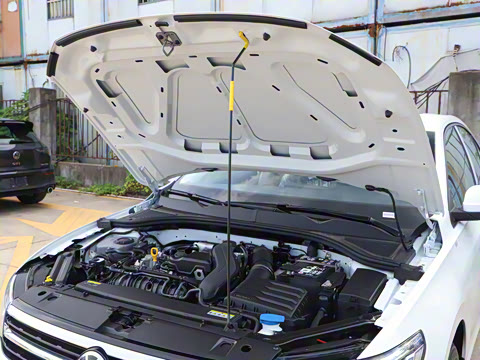 2025�� �Ŀ� 300TSI DSG���а�